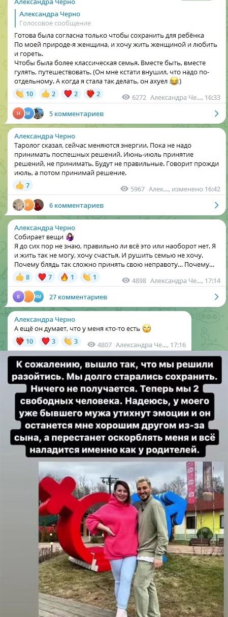 Скриншот переписки Александры Черно вконтакте Скриншот переписки Александры Черно вконтакте