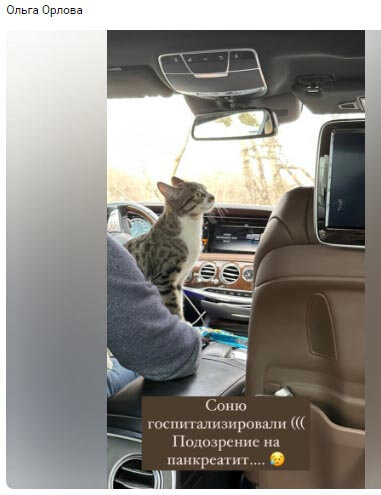 Новость про Ольгу Орлову вконтакте Новость про Ольгу Орлову вконтакте