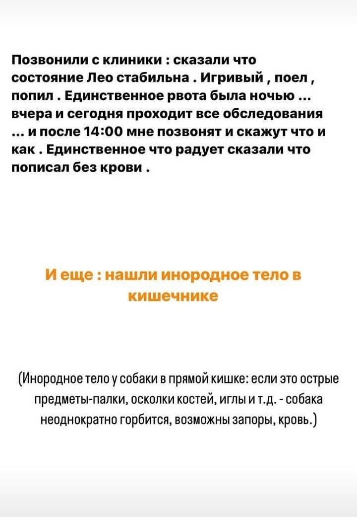 Пост Кристины Бухынбалтэ вконтакте Пост Кристины Бухынбалтэ вконтакте