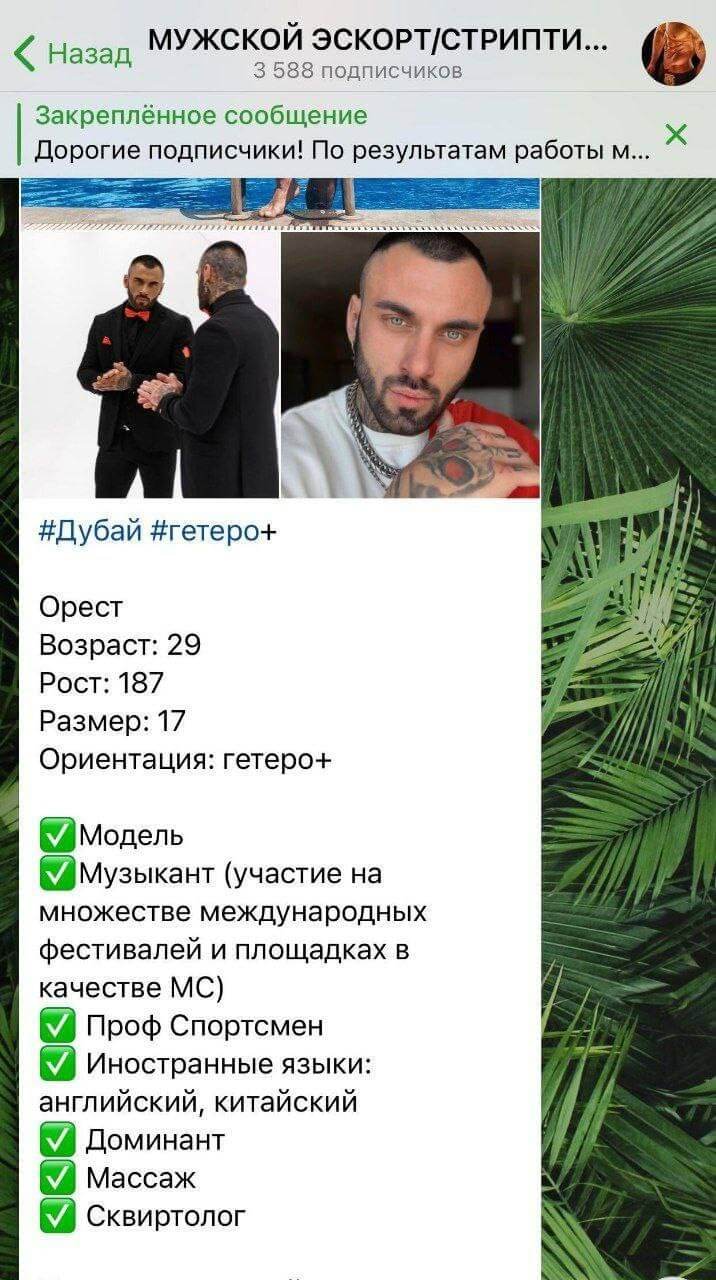 Скриншот анкеты Артема Гранта на сайте интимных услуг вконтакте