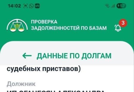 10 июня 2026 года имя Александры Черно снова появилось в базе данных Федеральной службы судебных приставов.