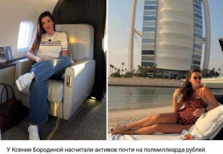 2 апреля 2026 года была обнародована информация о многочисленных штрафах, оформленных на Ксению Бородину по причине действий её супруга Николая Сердюкова.