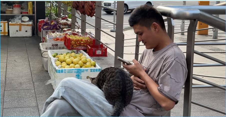 Эстетика кадра критически важна для любого телепроекта, и команда операторов "Дома-2" осознает это в полной мере.