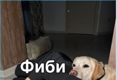 Варвина: о личном и новых границах общения