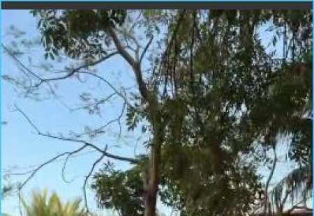 Цель фотографа на новой площадке Дома-2 раскрыта