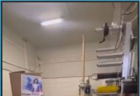 Элина Рахимова, бывшая участница "Дома-2", продолжает свой отдых в Таиланде в компании брата, активно делясь впечатлениями и событиями из путешествия в своих социальных сетях.