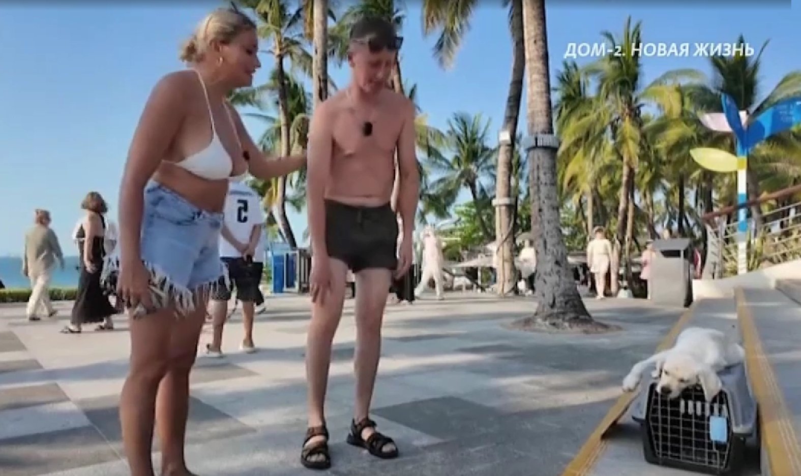 Денежные ловушки Вероники: Альберт негодует