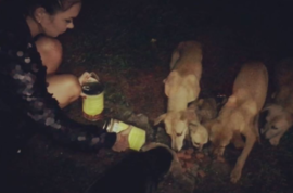 Екатерина Жужа оставила на Сейшельских островах лучших друзей