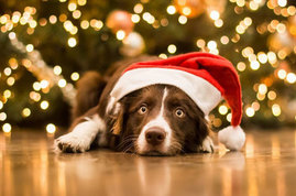 С Новым годом!